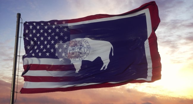 Which State Correctly Matches The Animal That Appears On Its Flag?