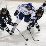 ice-hockey-puck-players-game