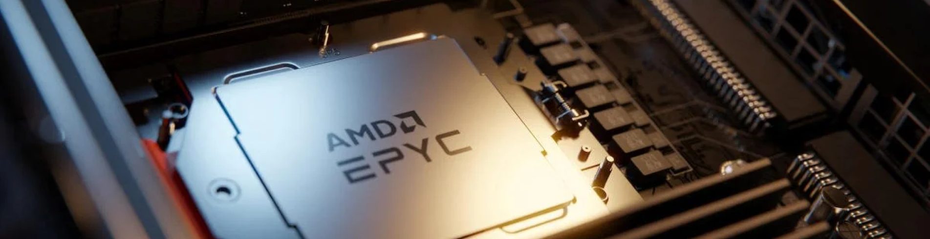 AMD Beats Earnings Estimates
