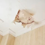 Water Damage Mitigation