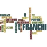 Franchise Industry