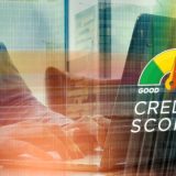 Building Credit from Scratch